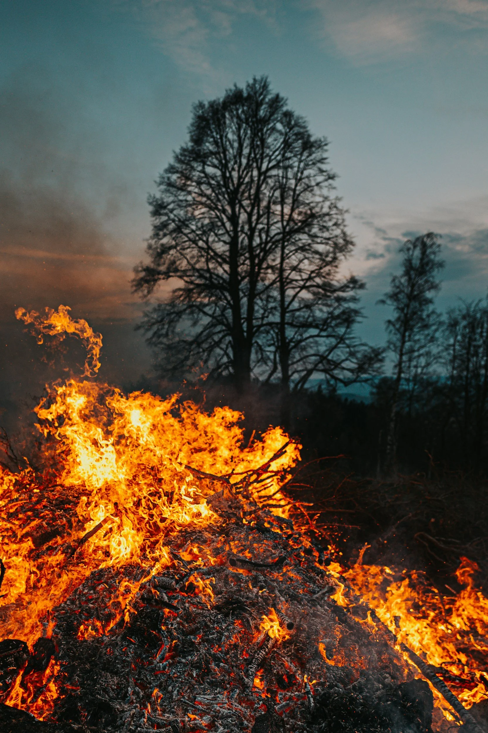 Love and Wildfire
