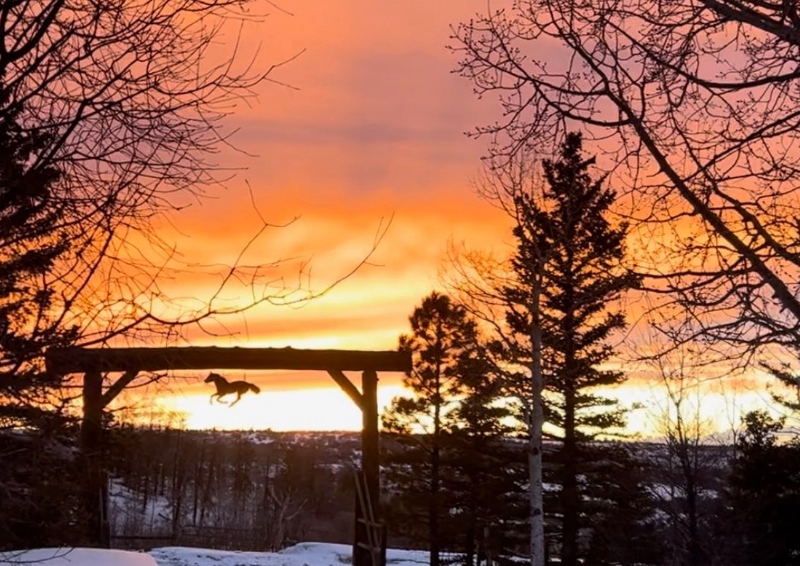 Screen Shot 2025-12-09 at 3.57.22 PM.png