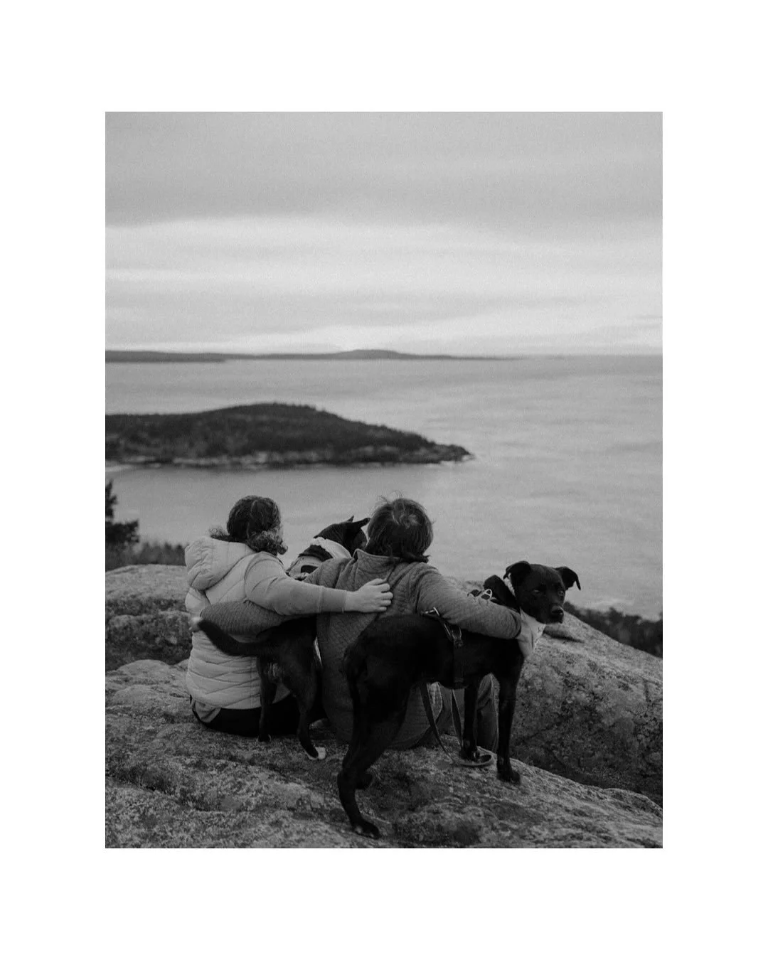 Yes… this is actually kinda the whole point πΎ
Being proposed to at sunrise by your partner with both your dogs to witness? A dream come true (if you ask me) π
This was my first sunrise proposal of the season back in mid-April, and let me t