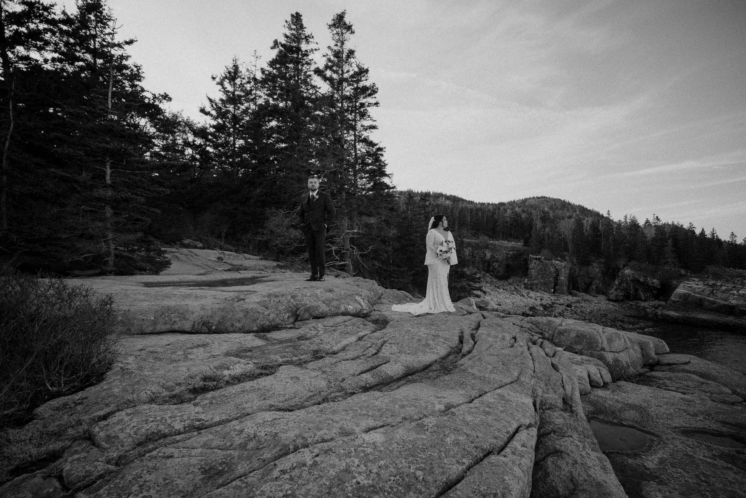 DSC_2443(1).jpg