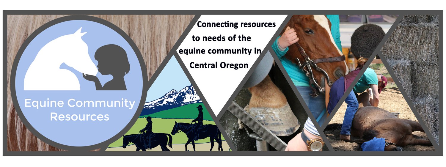 Equine Community Resources