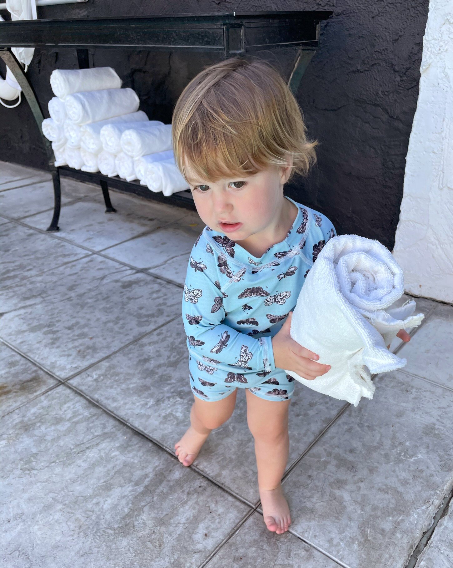 Sonny_Towel_Moth.jpeg