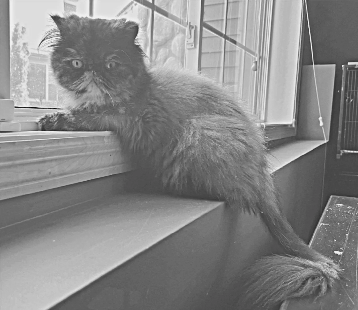 Screen Shot 2023-12-19 at 9.14.56 AM.jpg