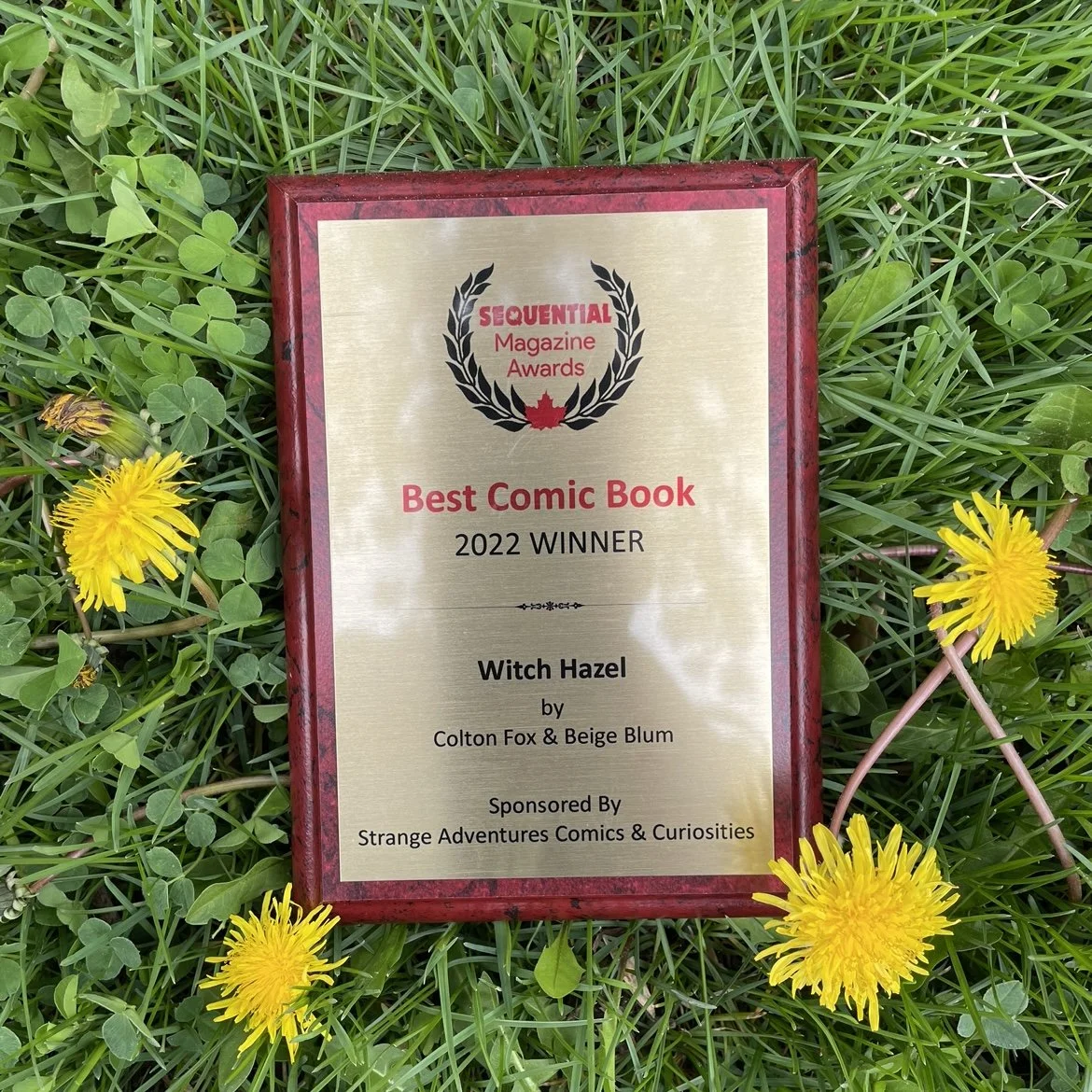 AWARD ANNOUNCEMENT: WITCH HAZEL