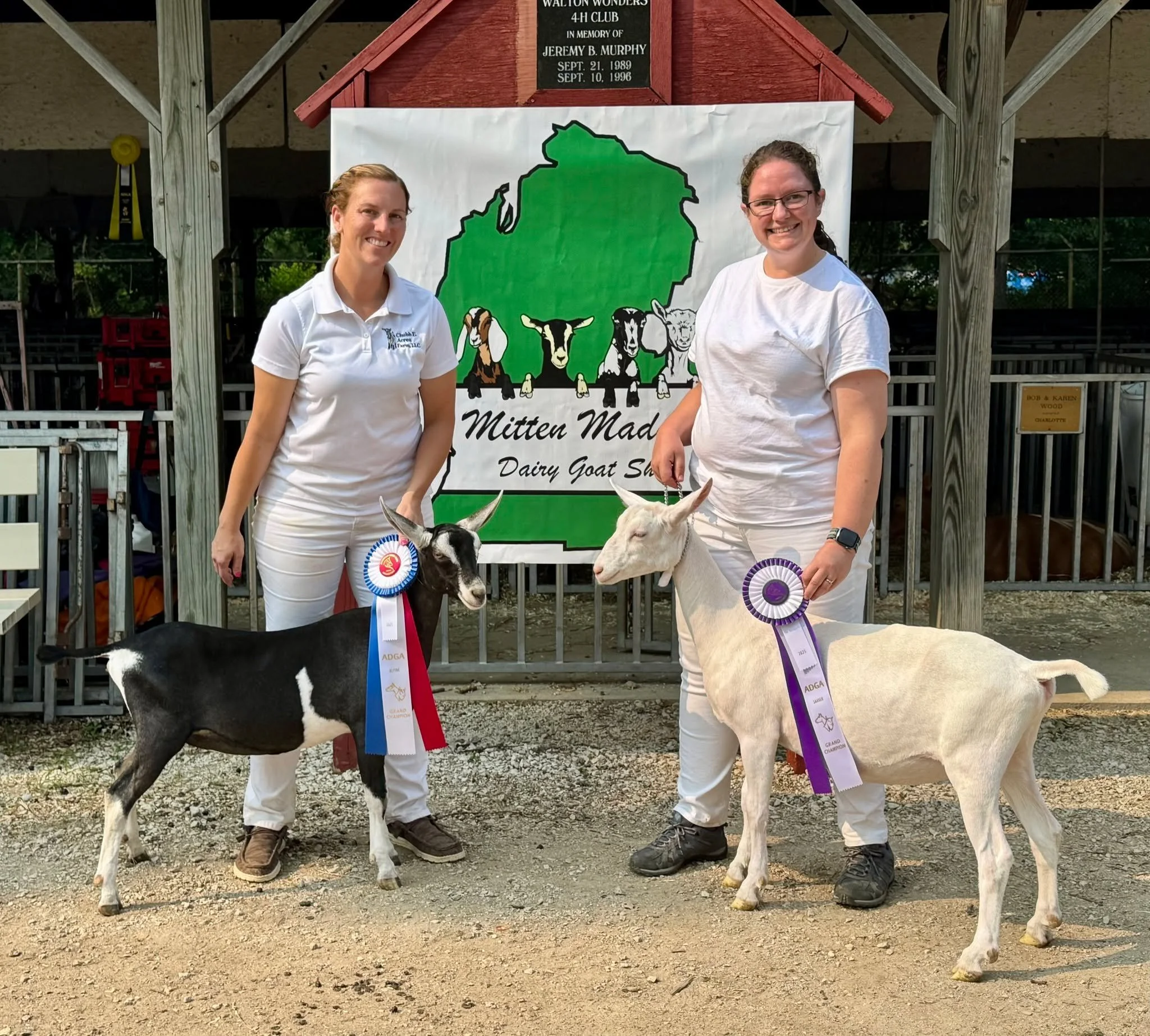 ✨ THANK YOU from Chubb E Acres Farm! ✨

As our 2025 season wraps up, we want to extend a heartfelt thank you to everyone who purchased goats from us this year &mdash; whether for show, milk, or your next herd generation. Your support means the world 