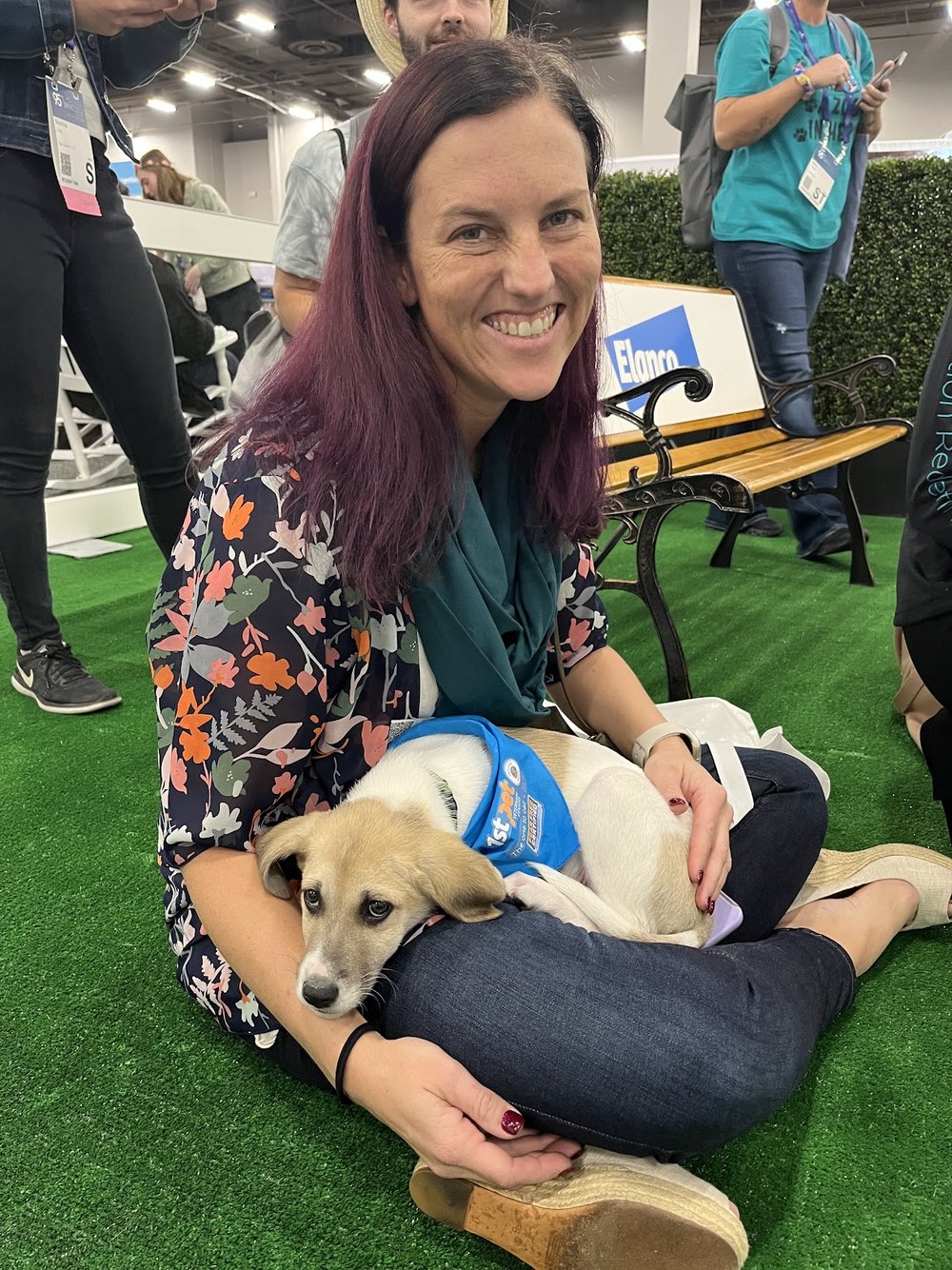 Continued Education — Caprine & Ewe Veterinary Consulting, PC
