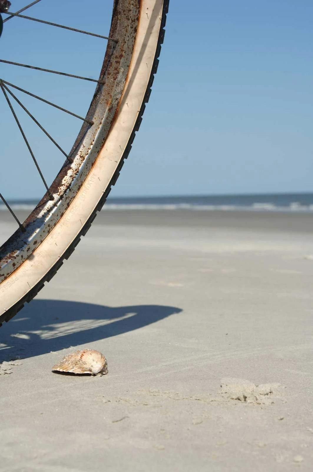 bicycle_0191.jpg