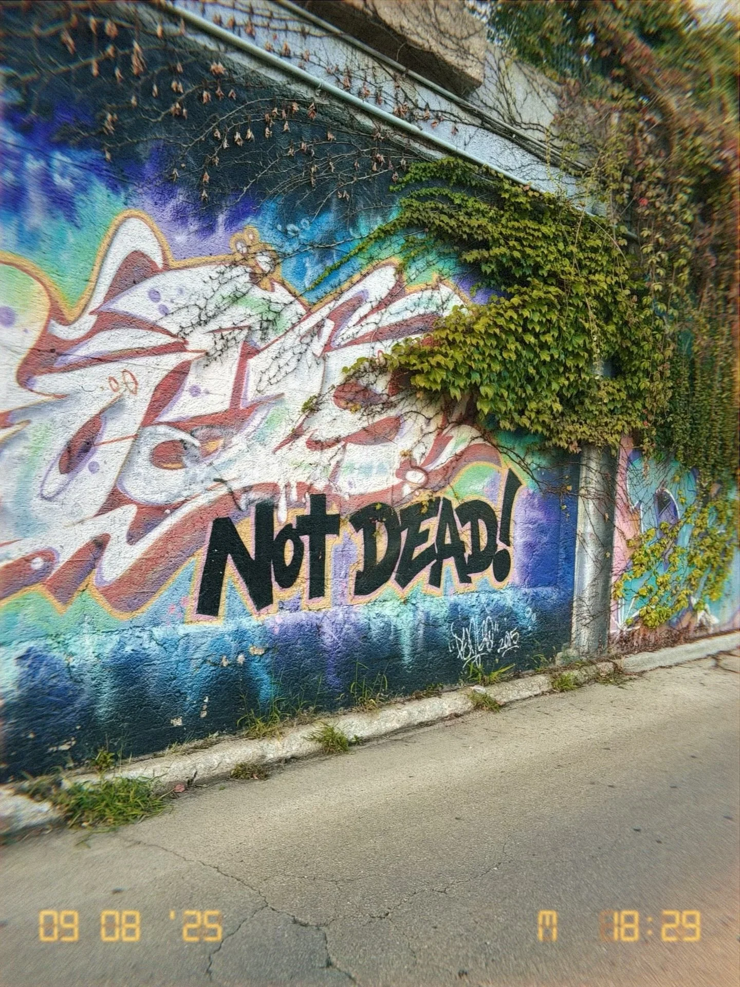 These are ominous and difficult times for many of us but we think it&rsquo;s important to remember to focus on the positive aspects of life. We&rsquo;re still here and doing our best every day to shape our lives and our space into the type of place w