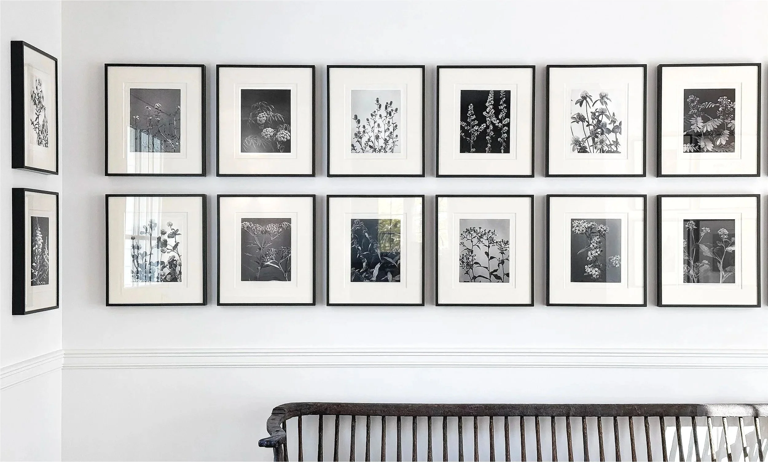 Gallery wall with twelve black-and-white botanical prints in black frames on a white wall, with part of a wooden bench at the bottom.