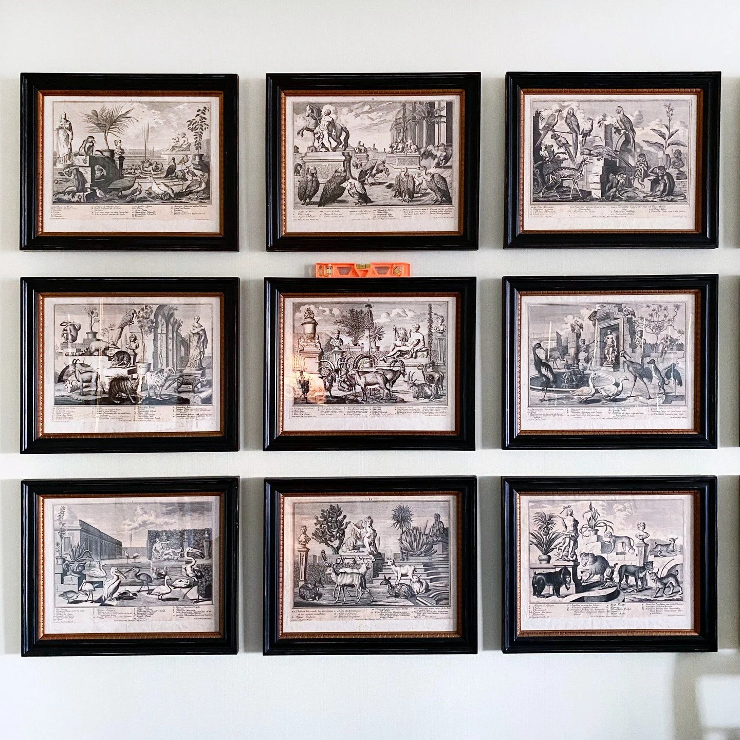 Jakob Andreas Friedrich I, 

@sitespecific.art installation 

Representation des animaux de la menagerie de S.A.S. Monseigneur le prince Eugene Fran&ccedil;ois de Savoye et de Piemont, Augsburg, 1734 by Salomon Kleiner.

The engraving depicts the men