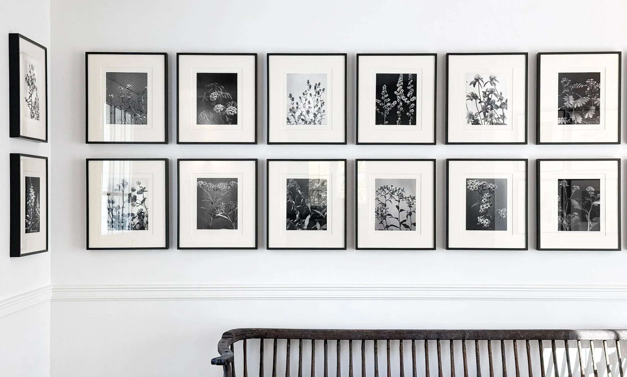 A gallery wall with black and white floral photographs framed in black, arranged on a white wall above a wooden bench.