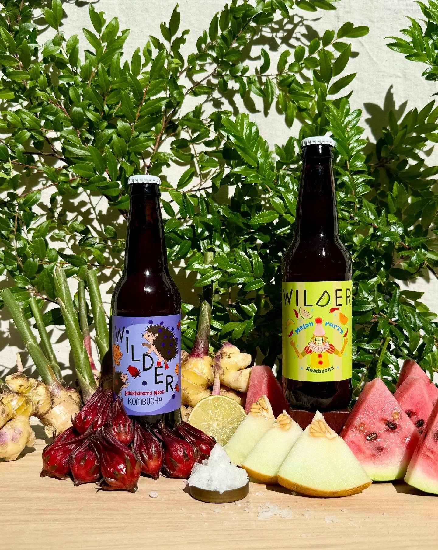 We are beyond the Super Moon to announce this collaboration with our friends @burnsblossomfarm in Chico, CA! 

🌕 HUCKLEBERRY MOON 🌕 

Tart + juicy HUCKLEBERRIES create the base with notes of earth + coastal fog. Burns Blossom Peruvian GINGER root, 