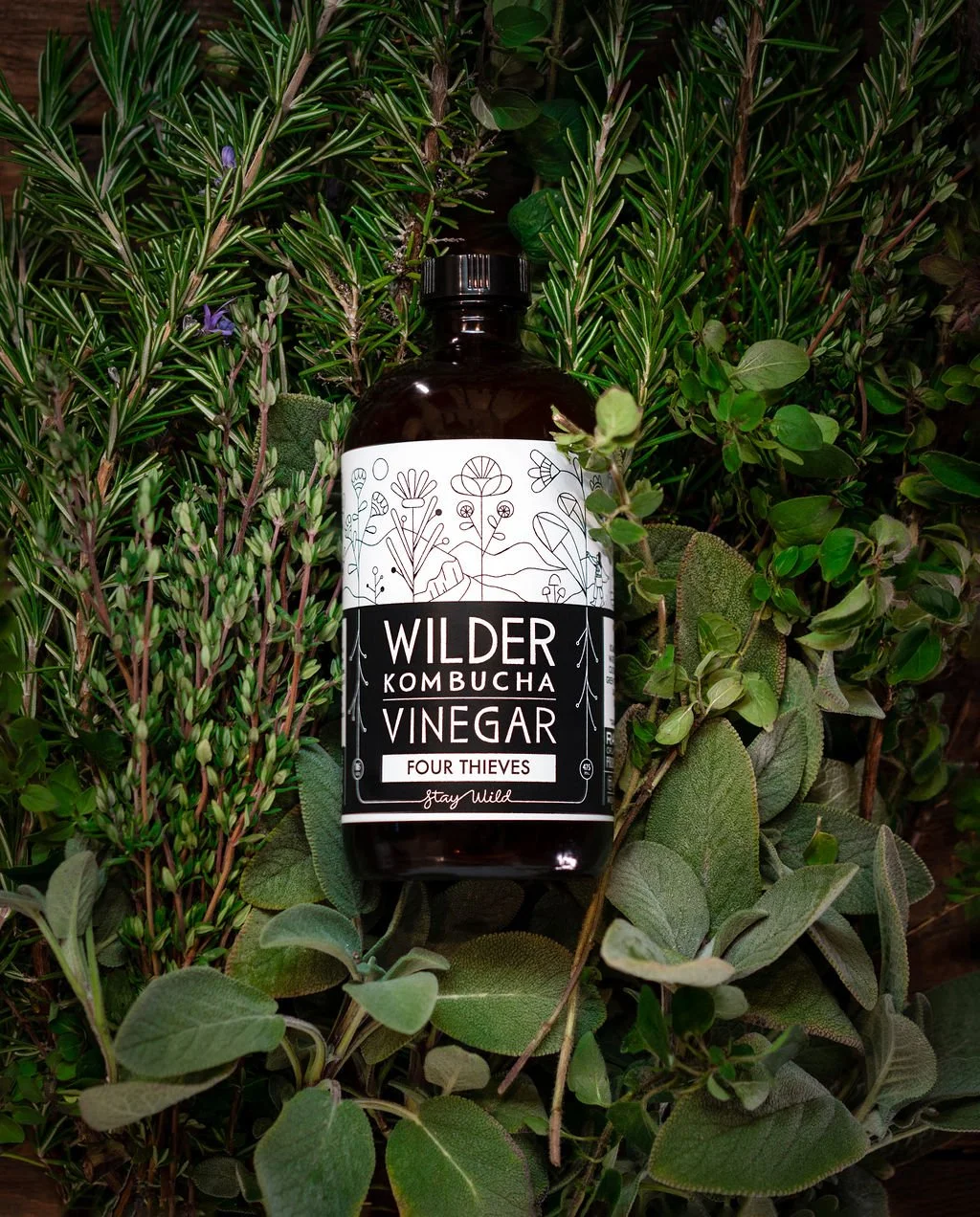 Four Thieves Kombucha Vinegar — WILDER FERMENTS
