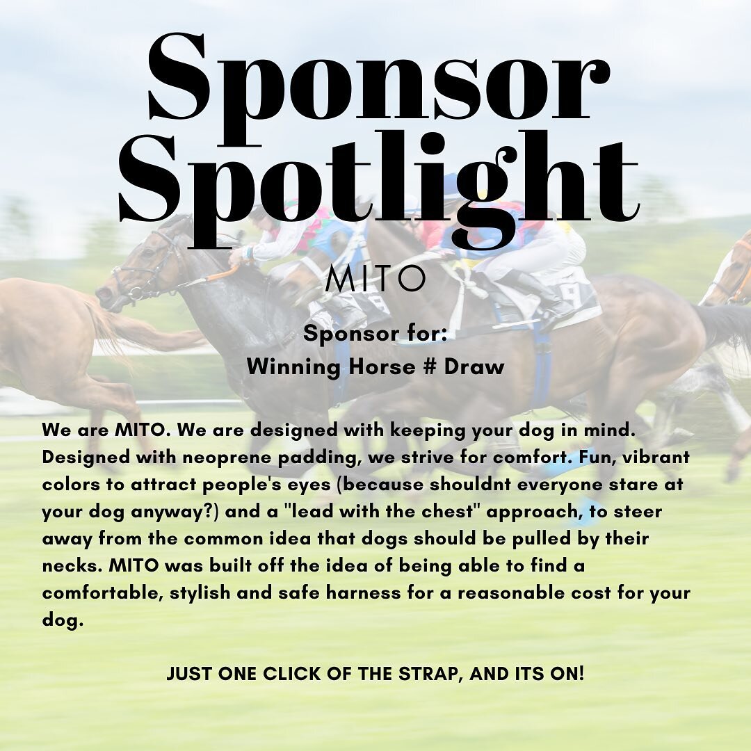 Time for another Sponsor spotlight! Please like and follow this amazing brand! @mitoharness reached out and wants to join in the Derby fun! The lucky winners who draw the correct winning Derby horse # will be the owners of a brand new Mito harness (s