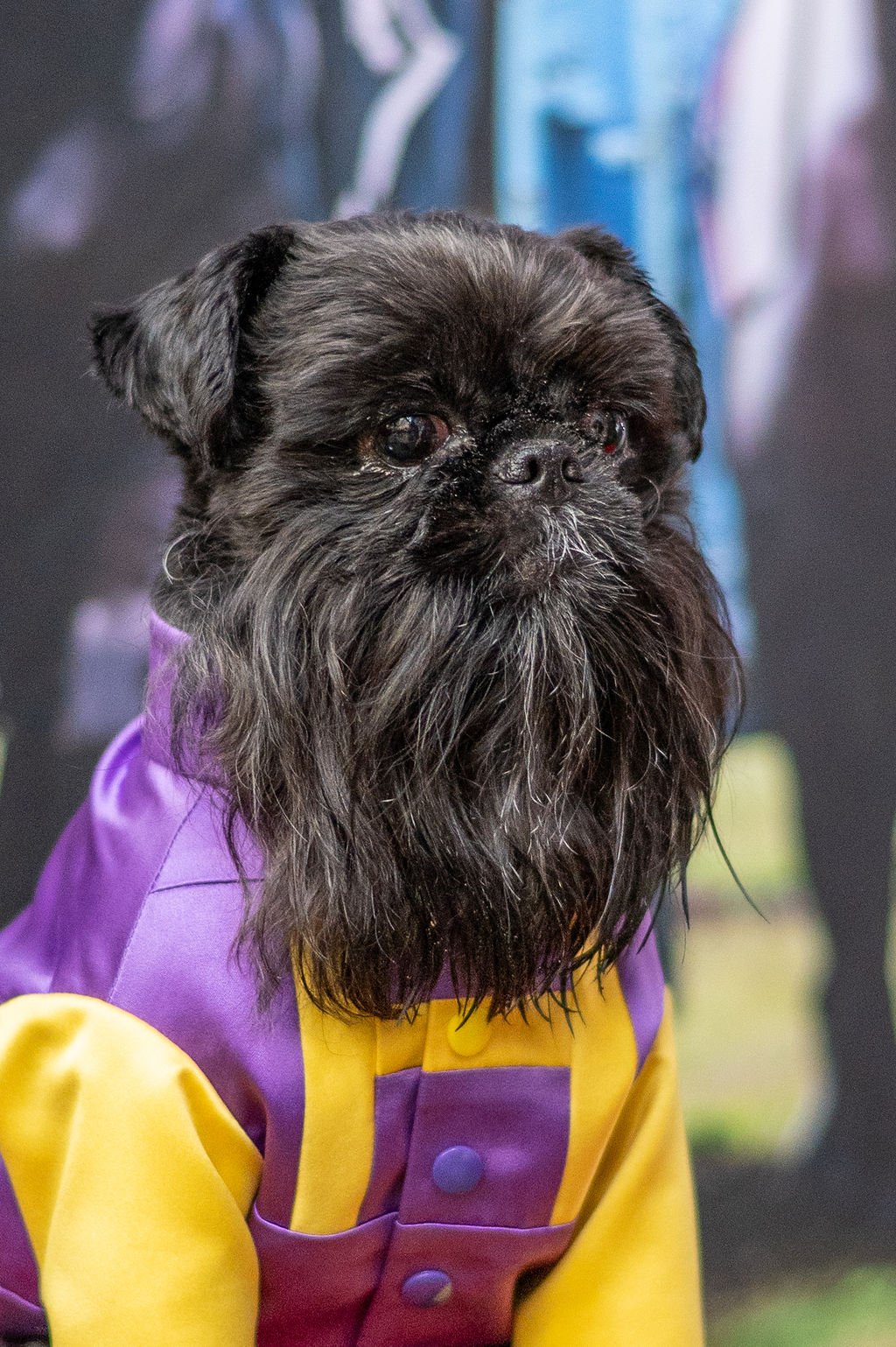 DSC_4222.jpg