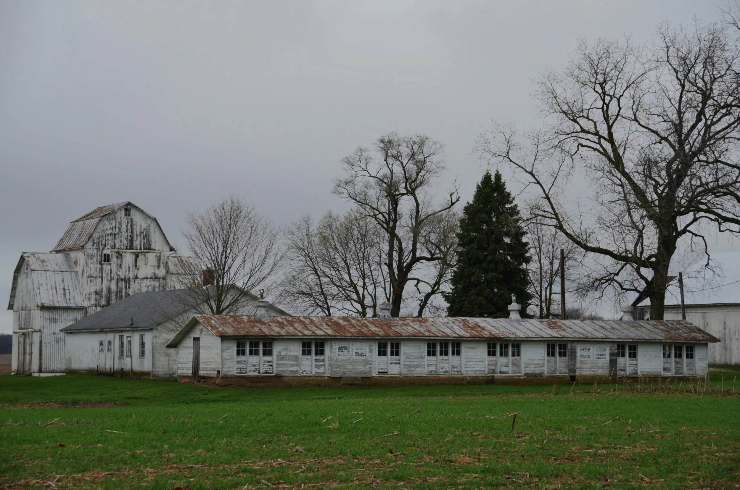 What a childhood memory in a farmworker housing kitchen taught me about immigration, dignity, and the gospel.