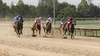 Texas Racing Commission Texas Racing Commission | Official Site & Pari-Mutuel Regulation