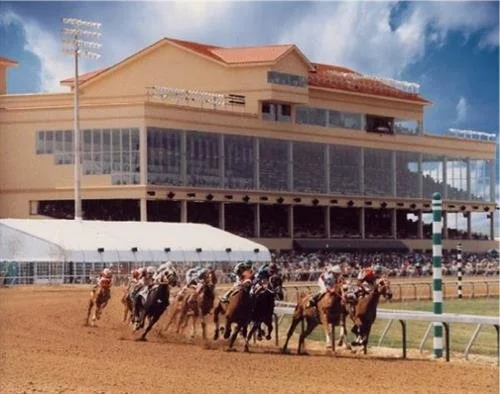 Texas Racing Association Texas Racing Commission| TXRC Official
