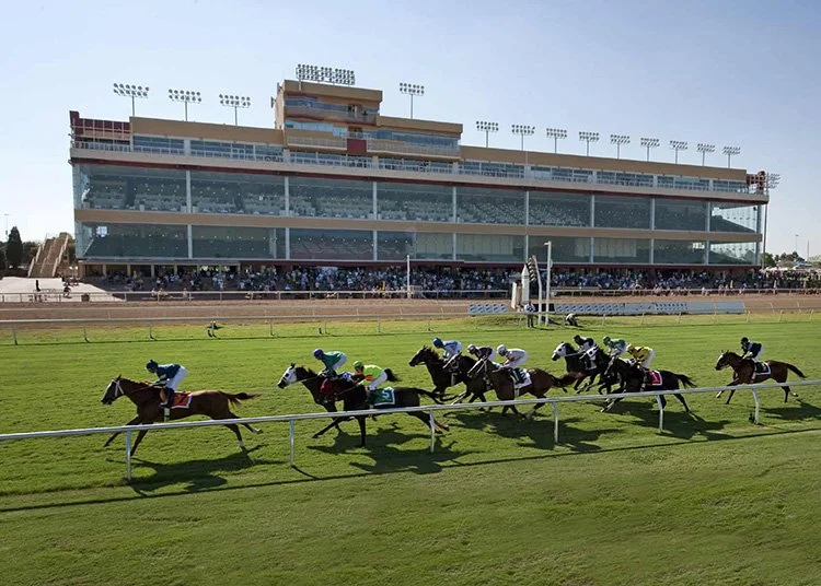 Texas Racing Commission Licensing — TEXAS RACING COMMISSION (TXRC)