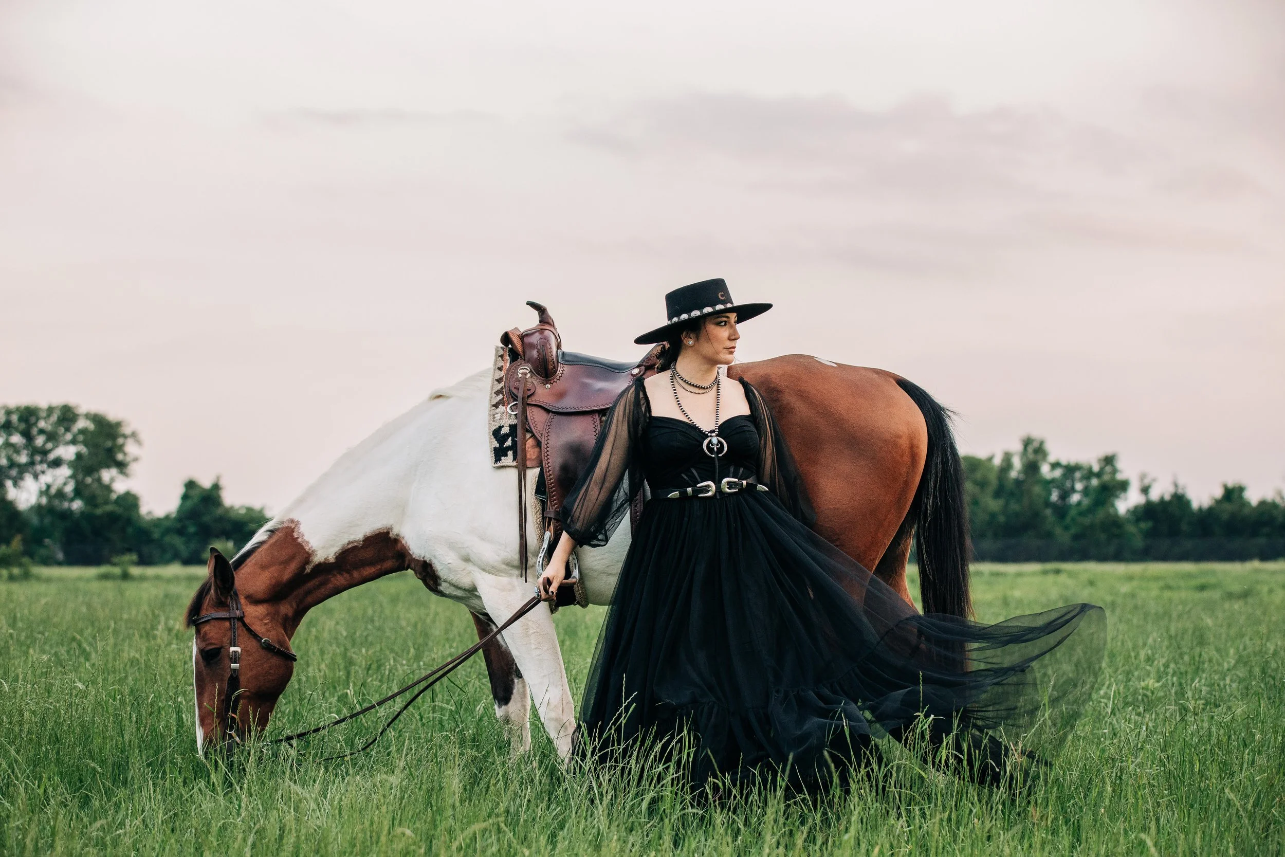 Equine Photography — Dark Horse Photography