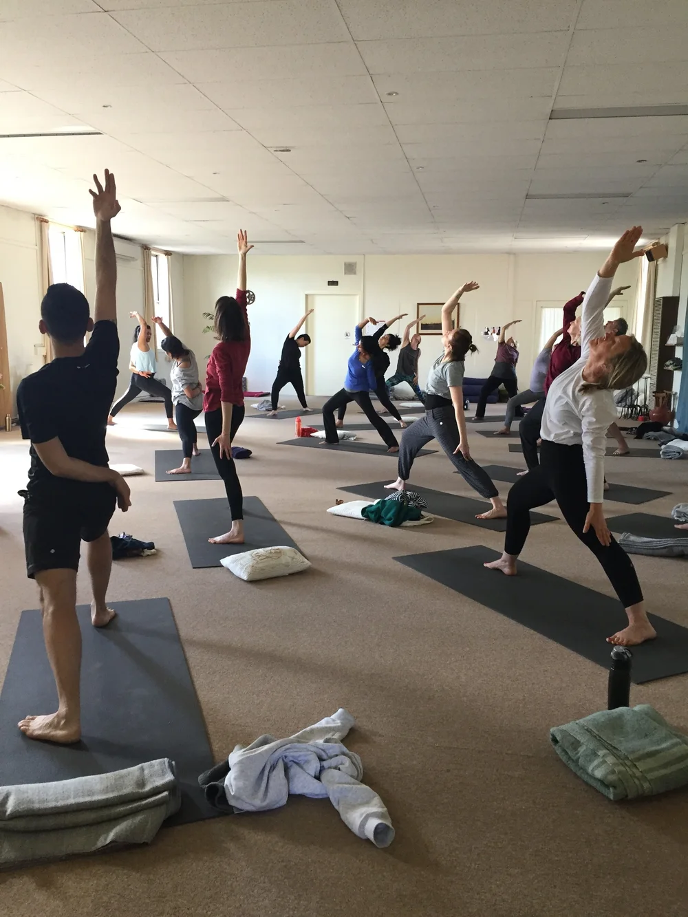 Snapshots of our Spring Wellness Day 2019! — Ananda Wellness