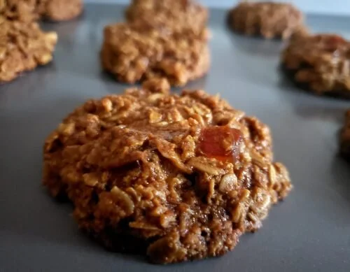 Ayurvedic Oatmeal Raisin Cookies
