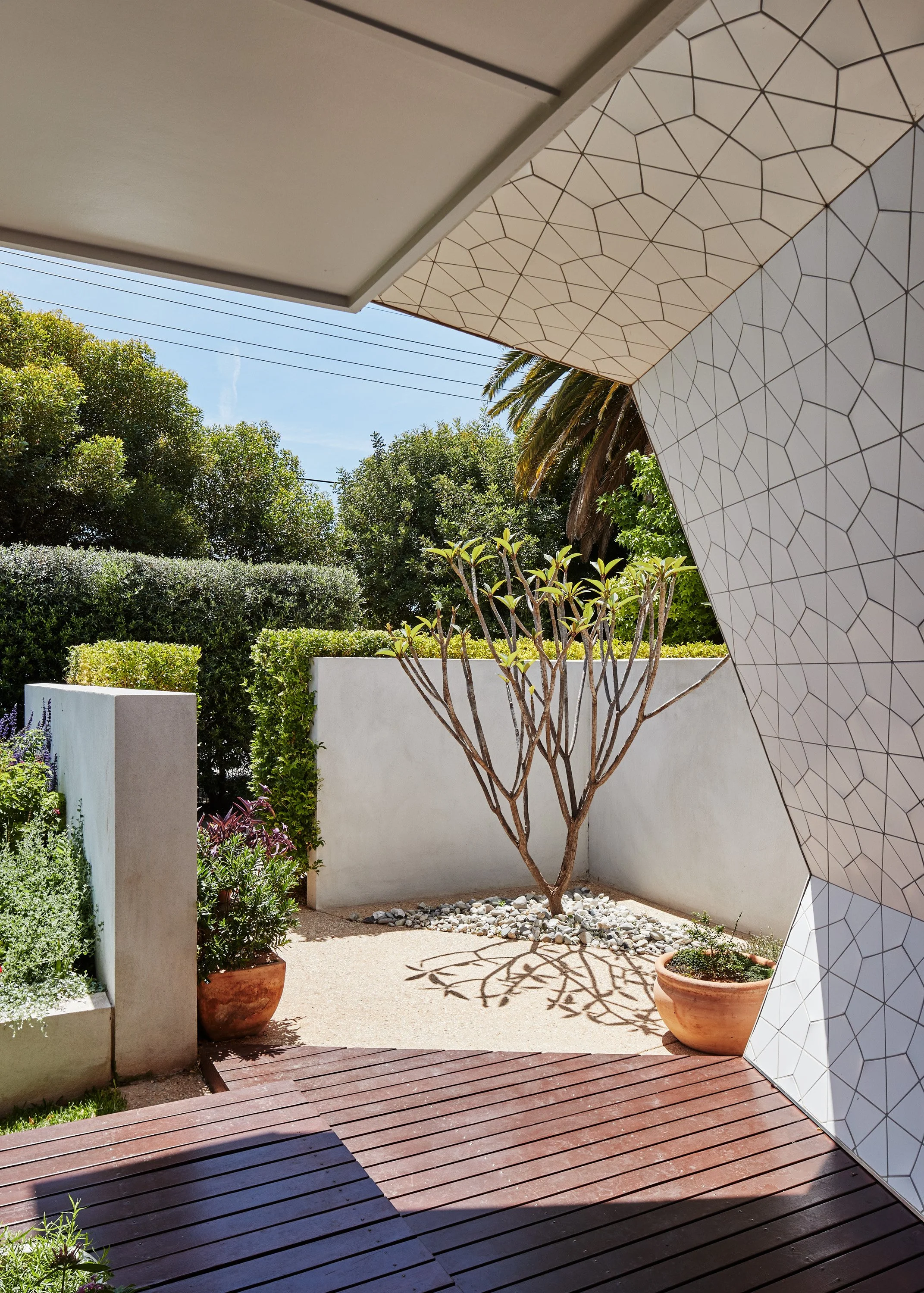 Wattle Avenue House