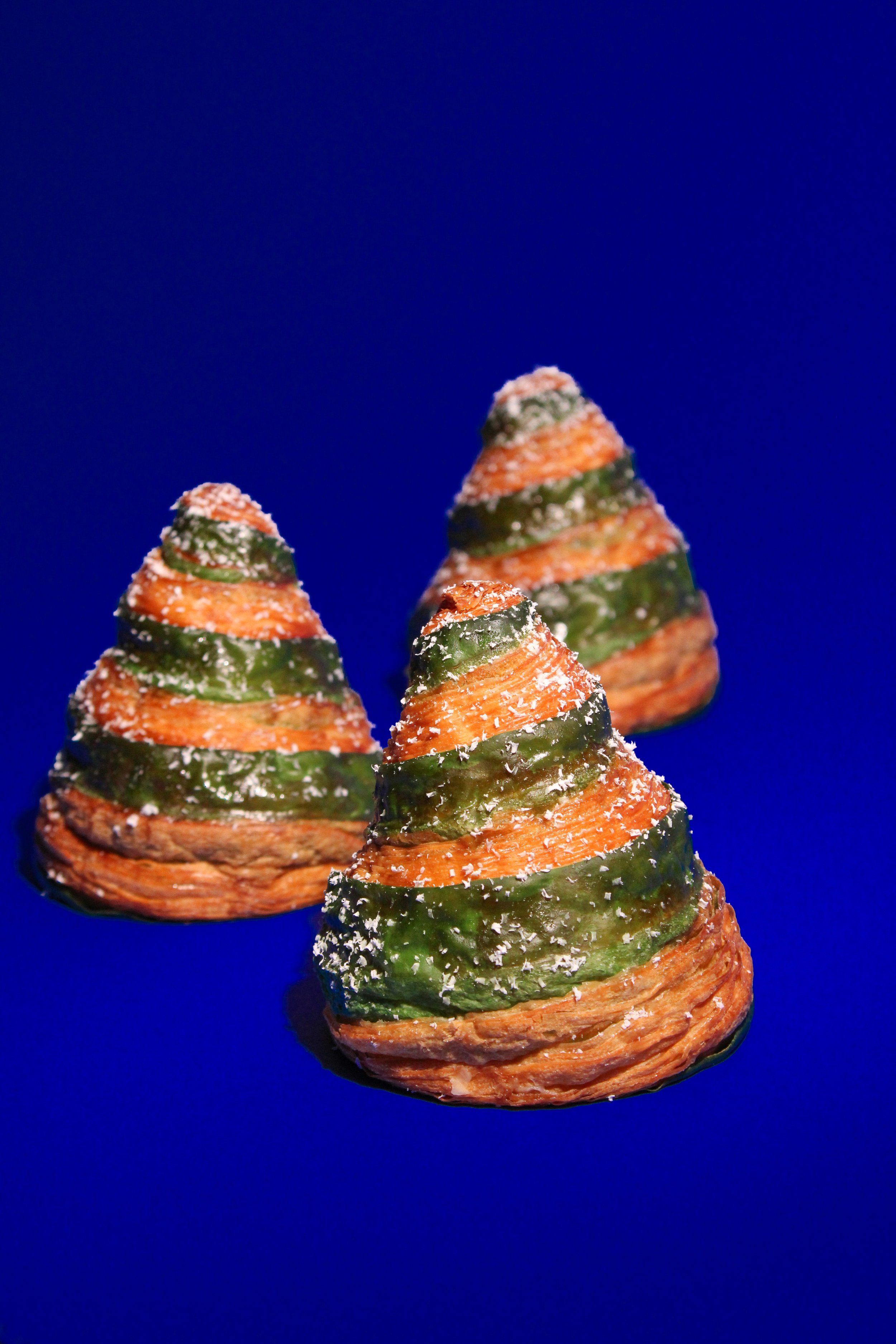 Pistachio Winter Tree