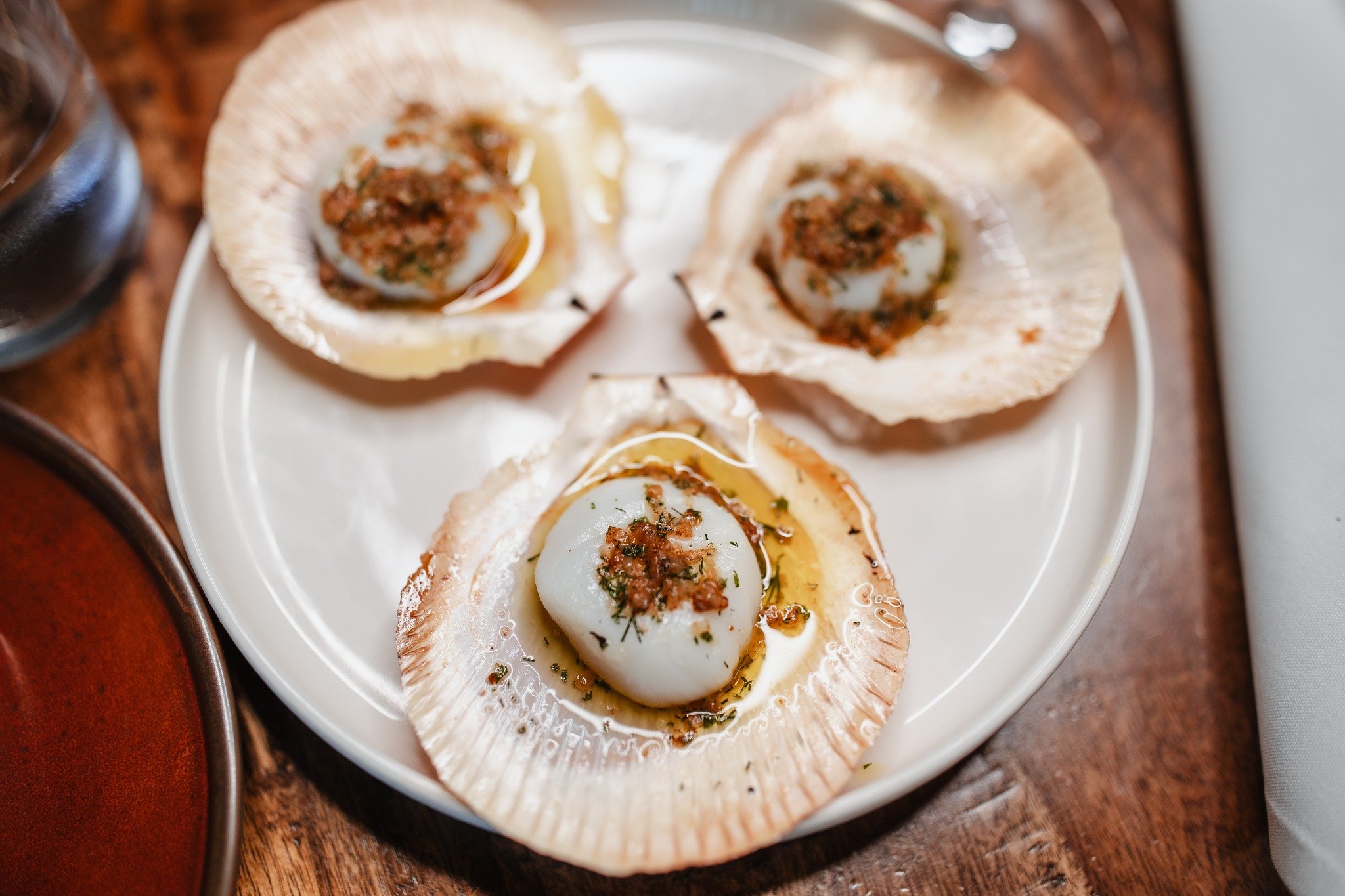 Grilled Abrolhos Island Scallop finished with burnt butter &amp; herbs. Simple and delicious. Perhaps we can tempt you for dinner tomorrow evening? Bookings on our website. #brisbaneeats #abrolhosislands  #brisbanedining