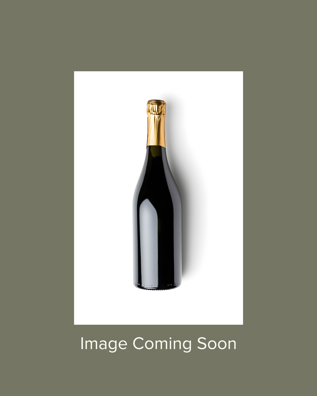 Image Coming Soon.png