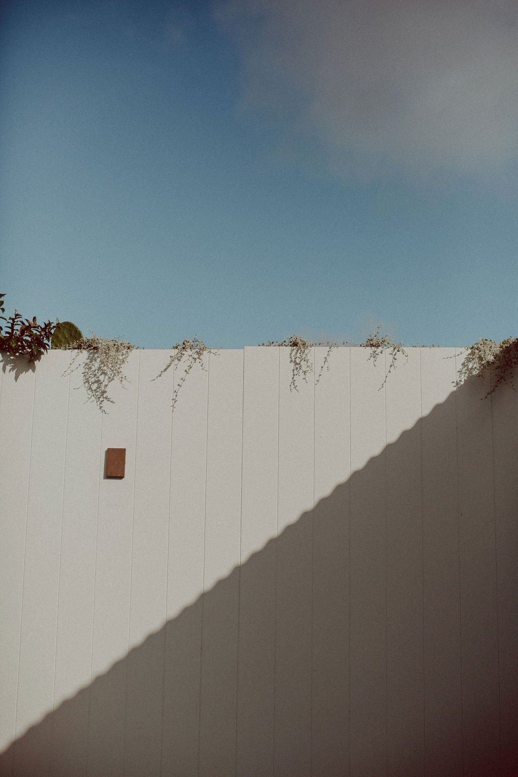 Photoshoot location pool mornington peninsula