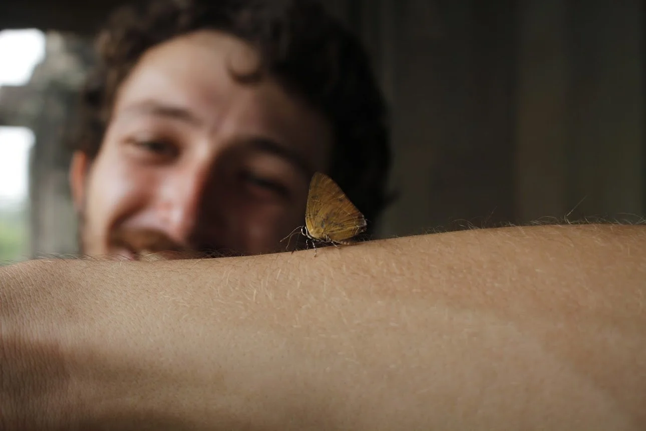 Jimmy &amp; butterfly