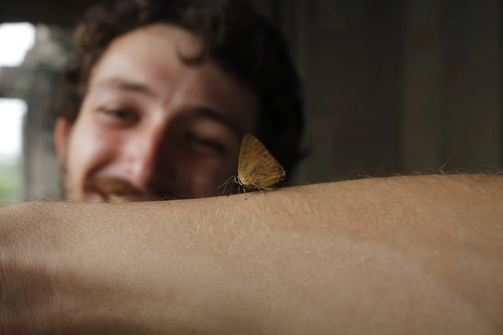Jimmy &amp; butterfly