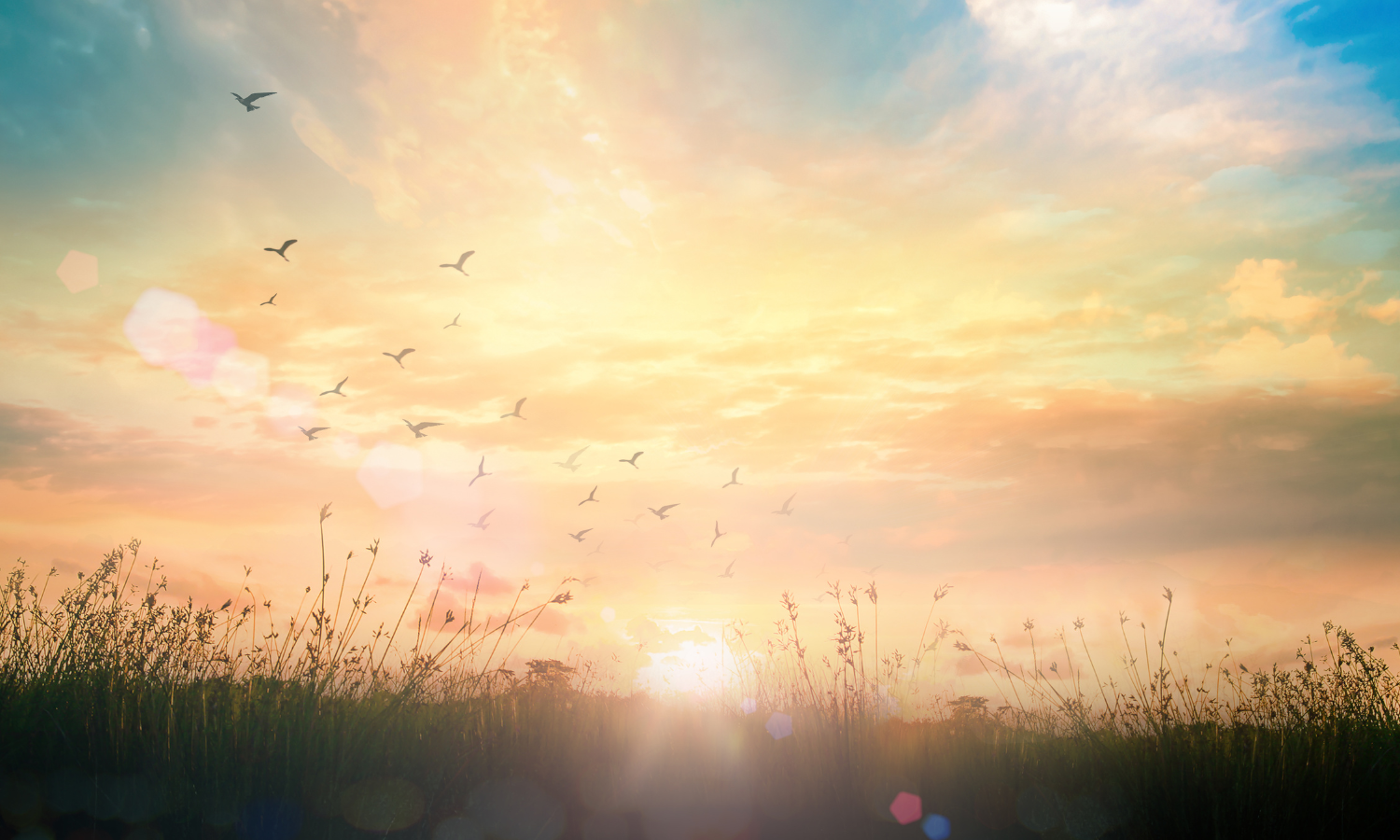 Navigating Adolescence