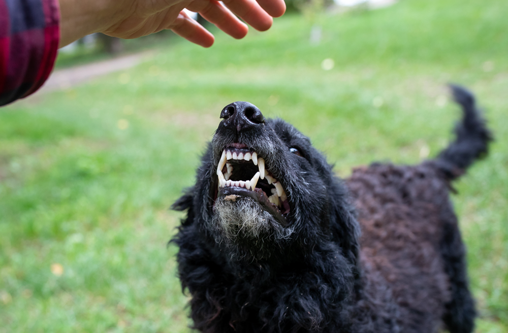 Anger & Adolescing