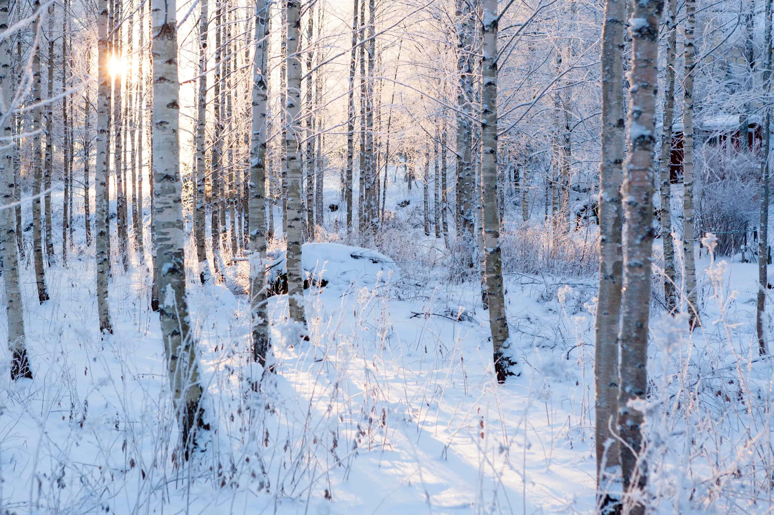 When the Heart Burns Out: Understanding Burnout, Empathy Fatigue, and Vicarious Trauma