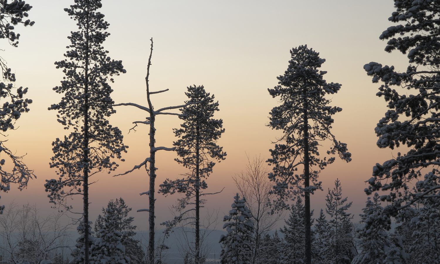 Solstice Earth &amp; Adolescent Psyche: A Meander Through Time