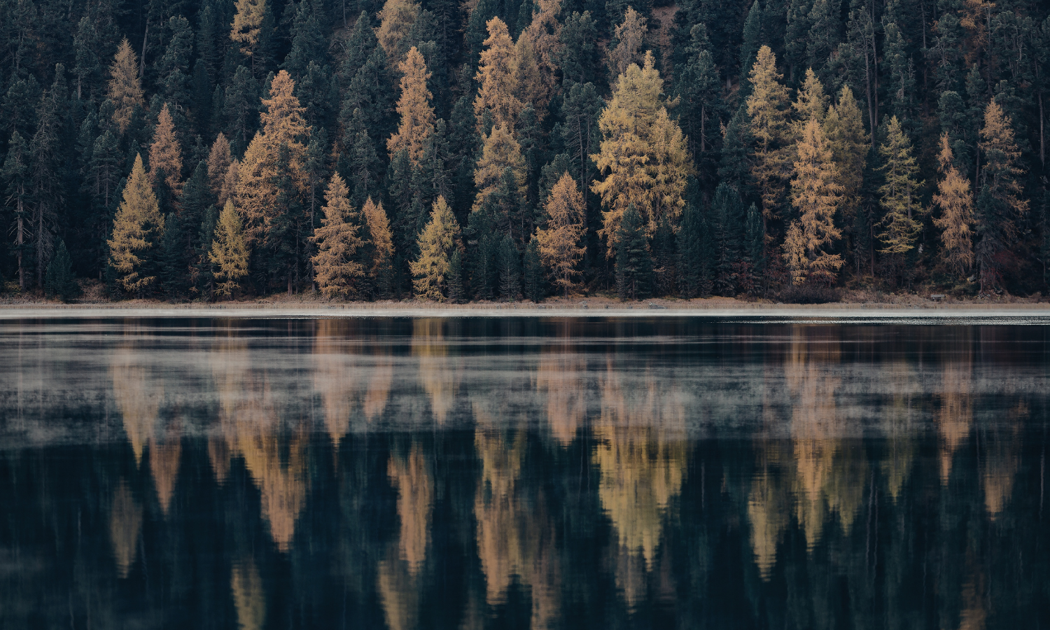 Three Things About Adolescents/Adolescence To (Maybe) Make Your Life Easier