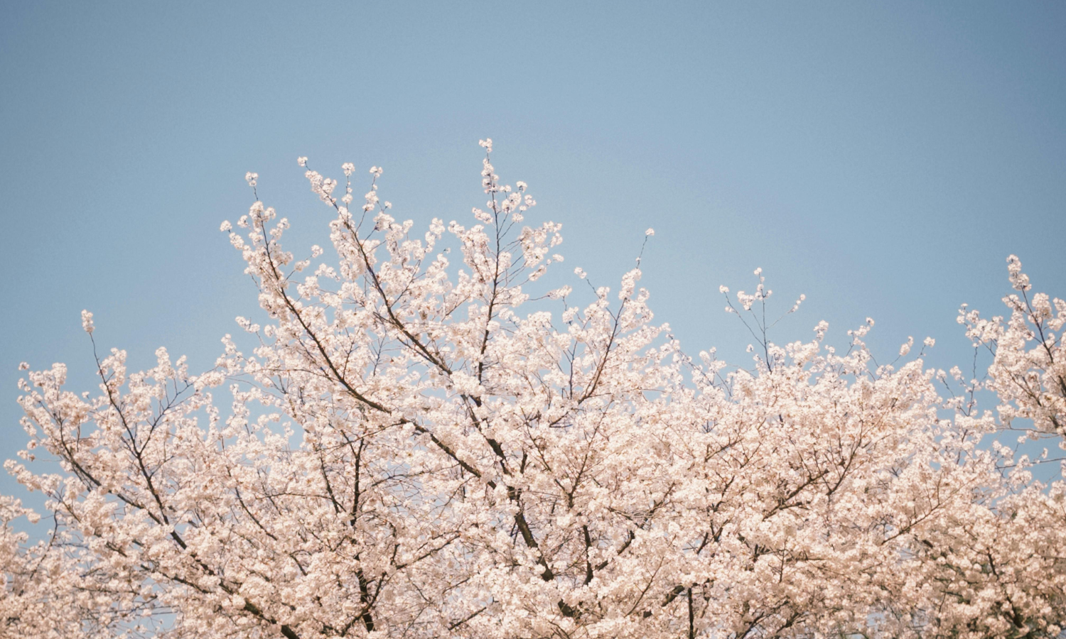 Talking Politics With Teens: Don’t Avoid It. Do It Better.