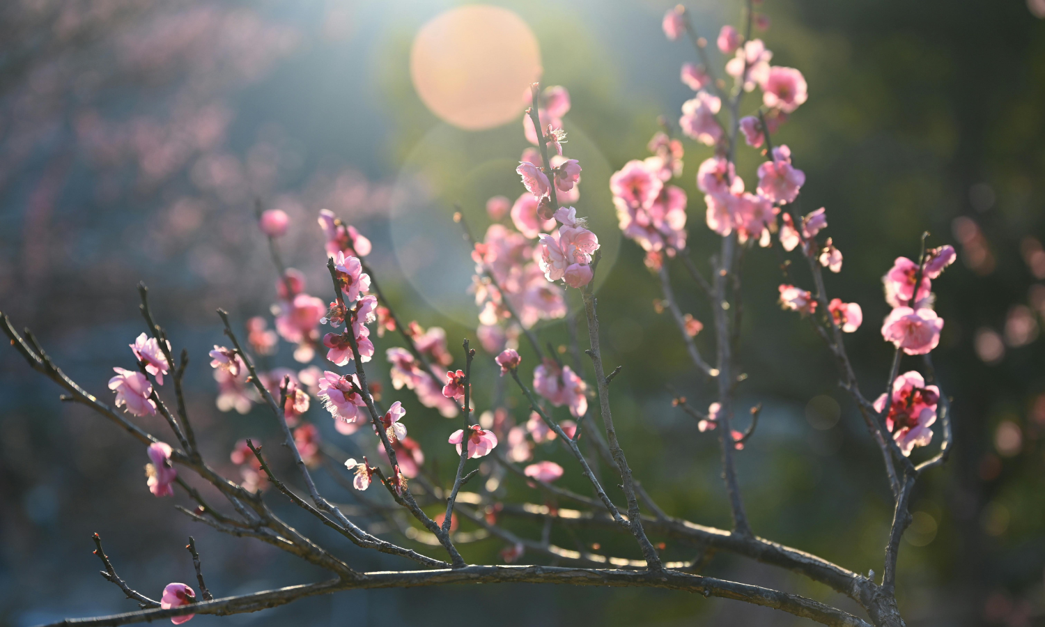 What Other Work Is There Than This?