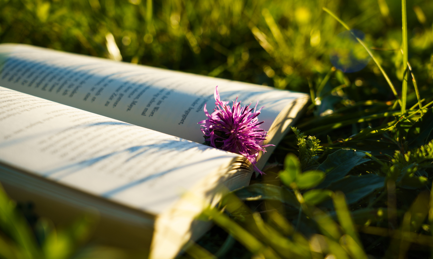 Something For The Inner Adolescent: A Book for the Conversations We Were Never Taught to Have