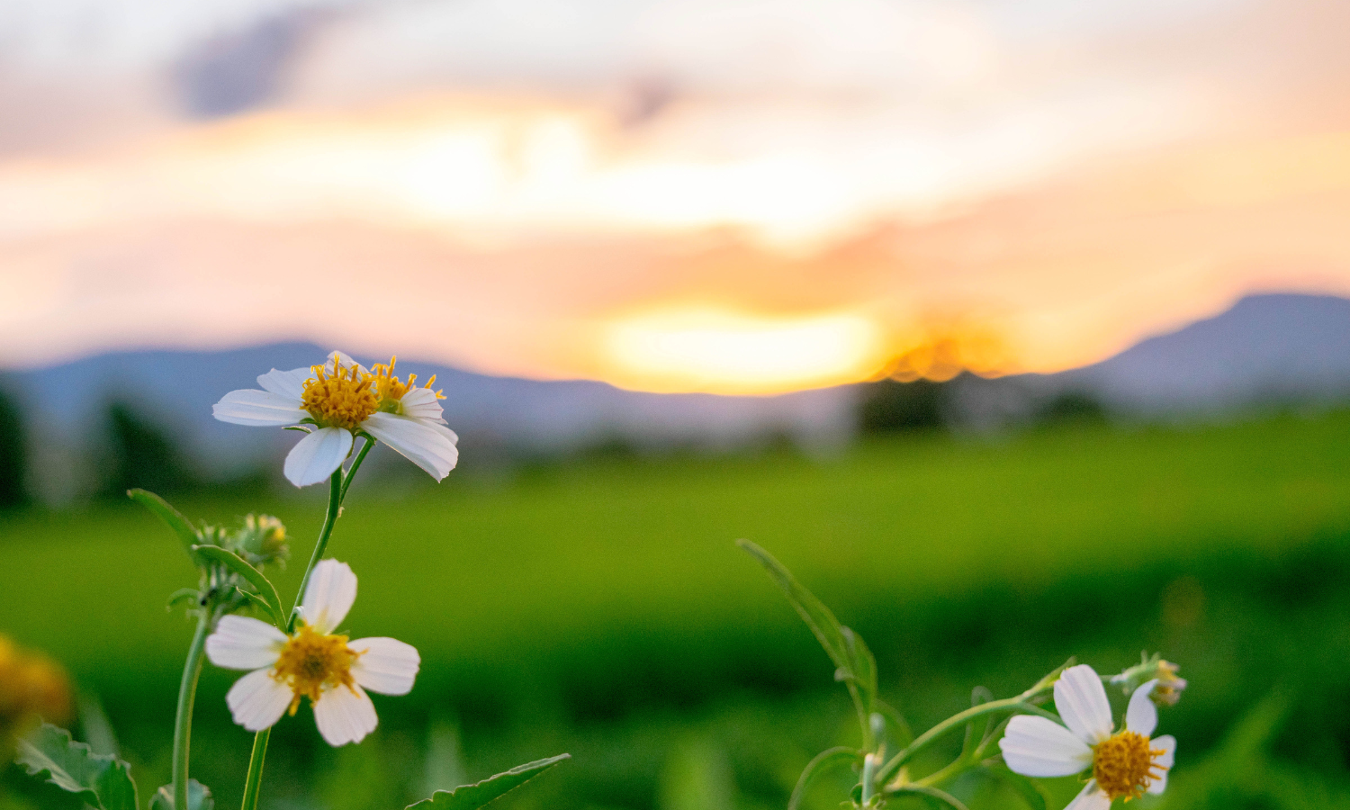 What Happened When I Deconstructed the Communication Skill of Validation