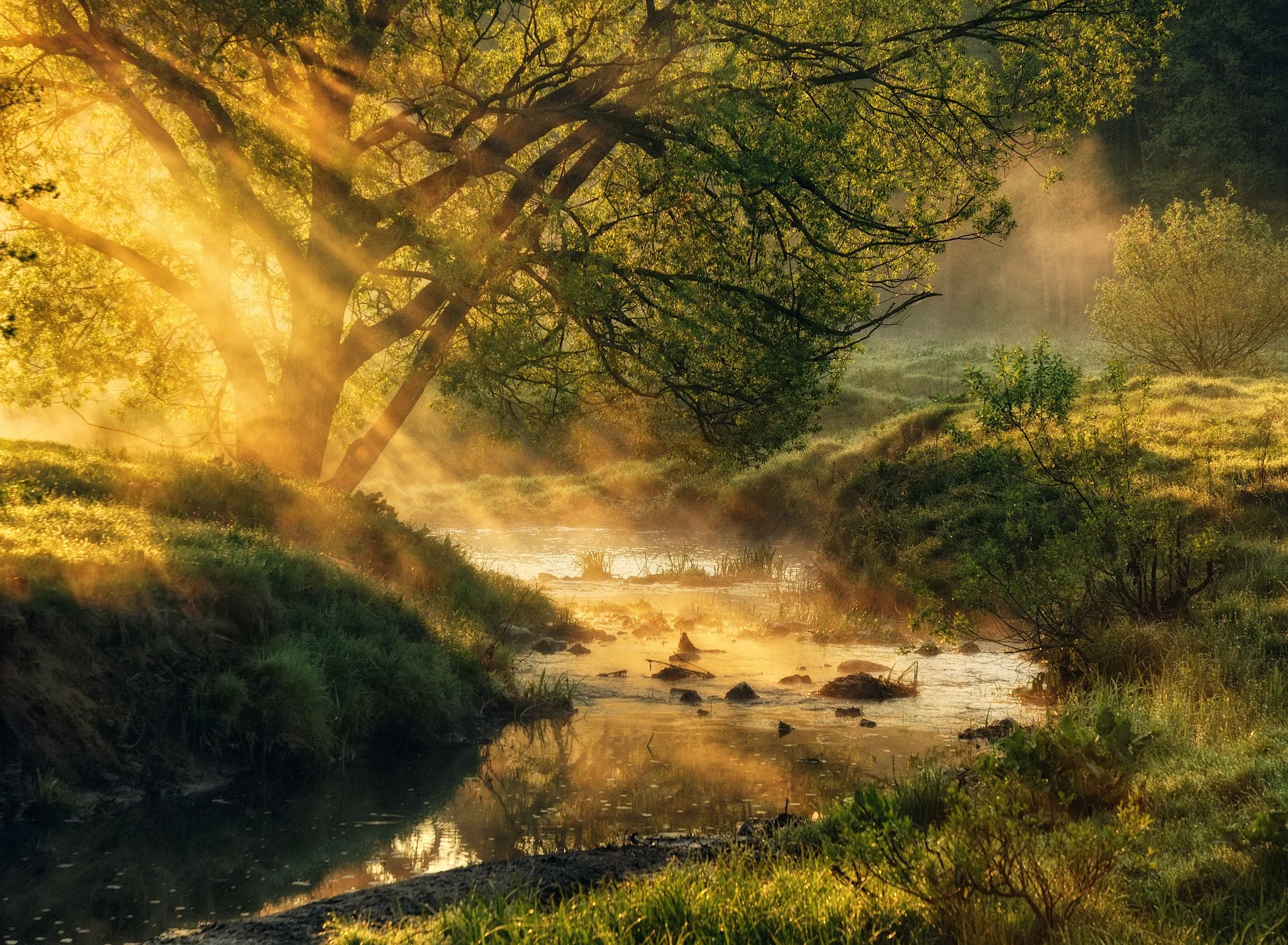 Solstice Earth &amp; Adolescent Psyche: A Meander Through Time