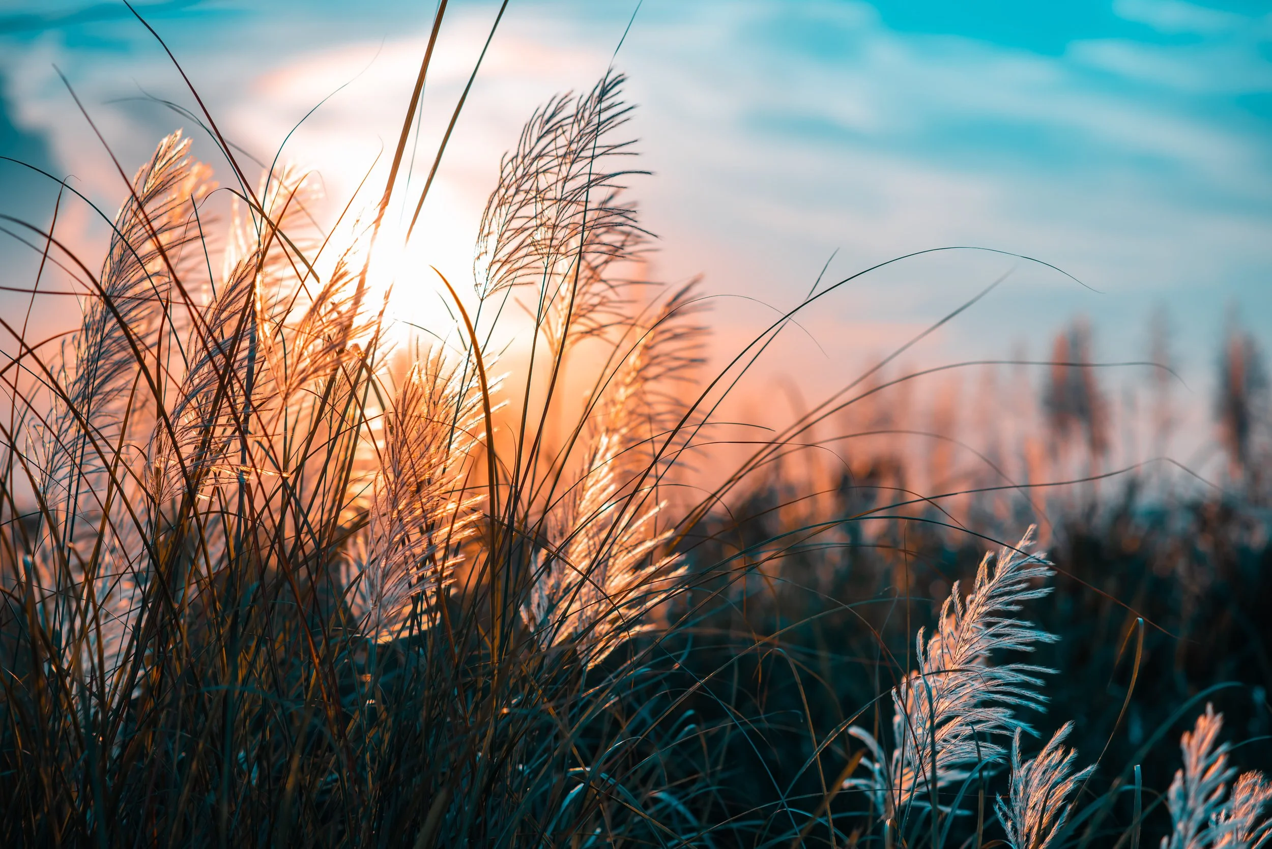From Intervention to Connection: 6 Practices for Effective Adolescent Support