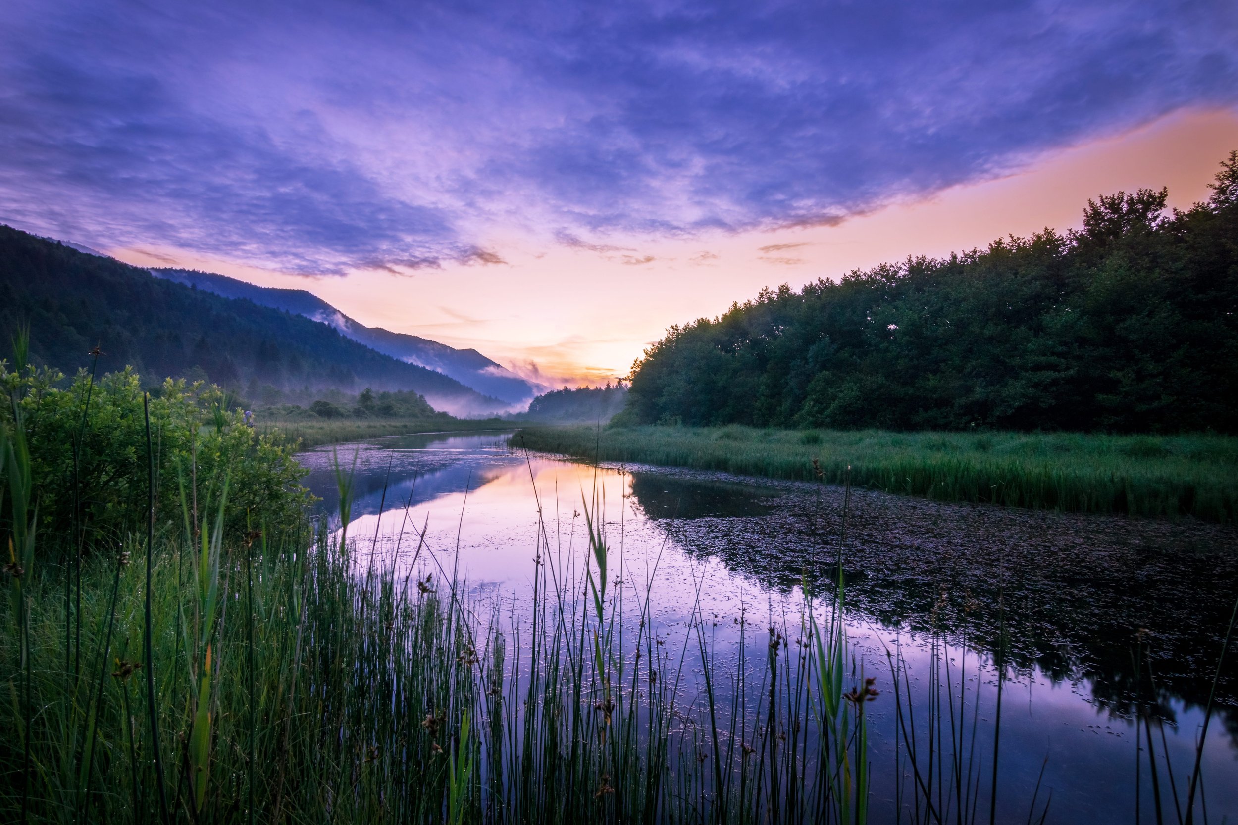 Internal Family Systems Therapy, The 4 Tools of The Shiftless Wanderer, &amp; Adolescents