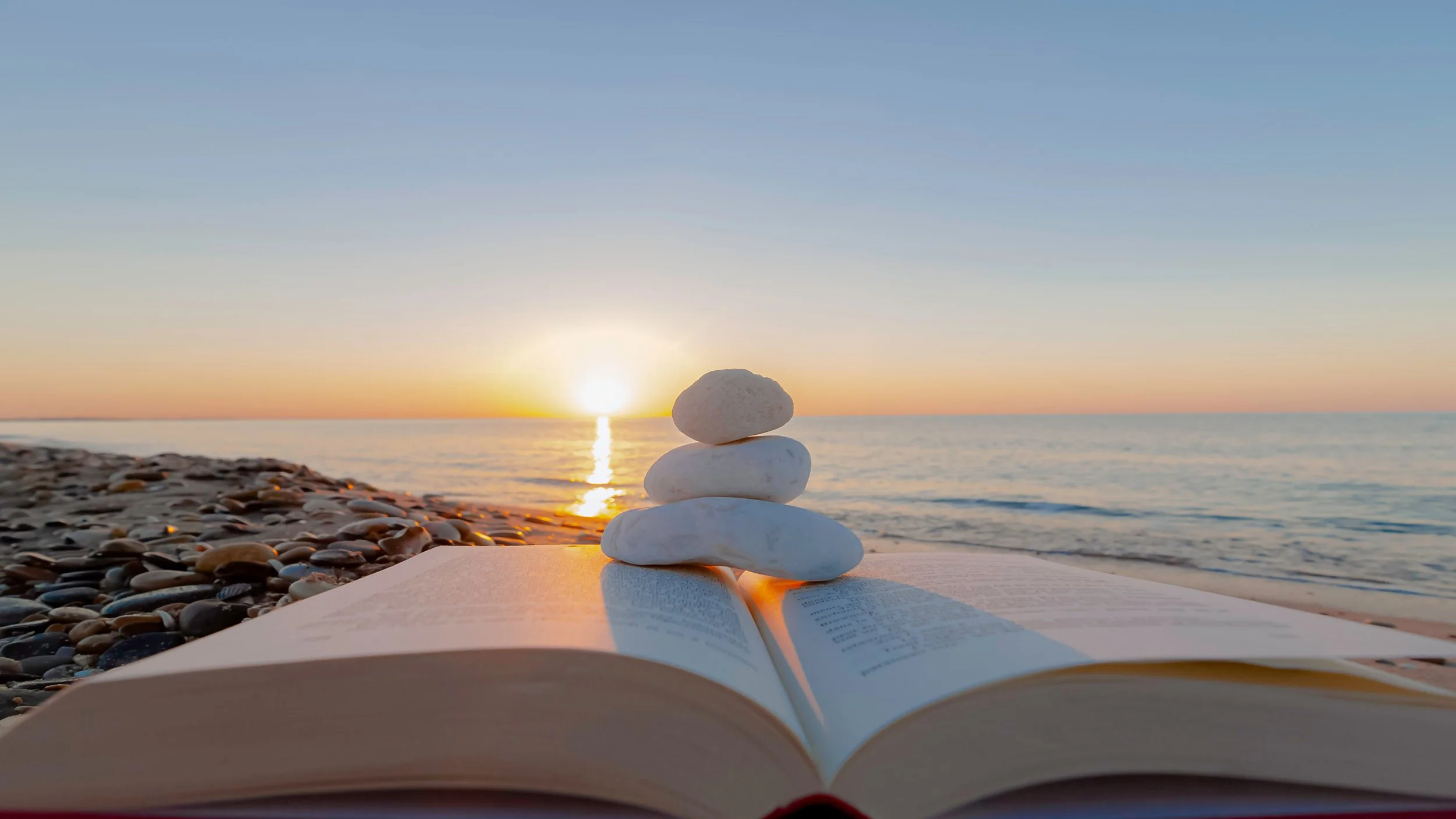 Something For The Inner Adolescent: A Book for the Conversations We Were Never Taught to Have