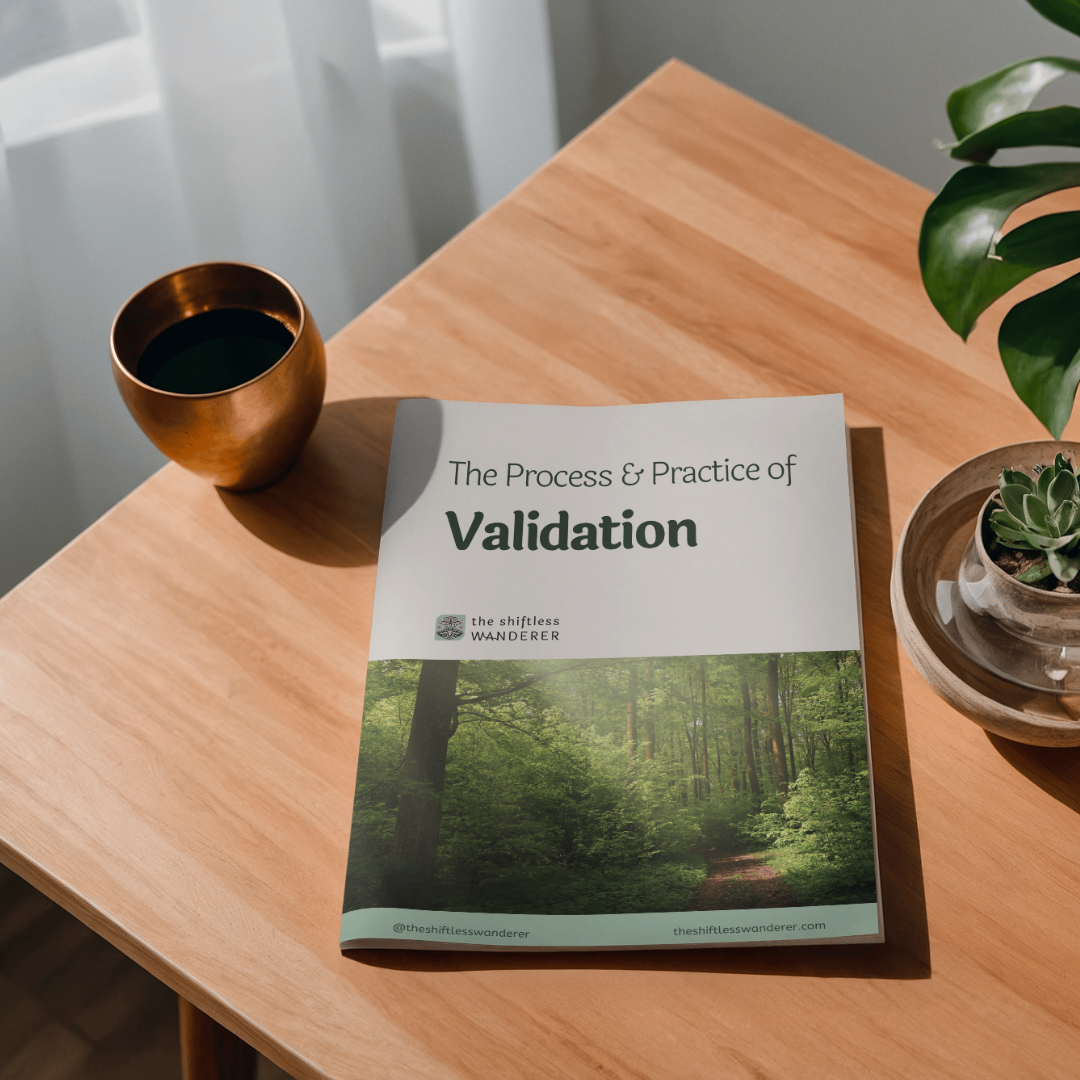 The Process & Practice of Validation (Extended Edition)