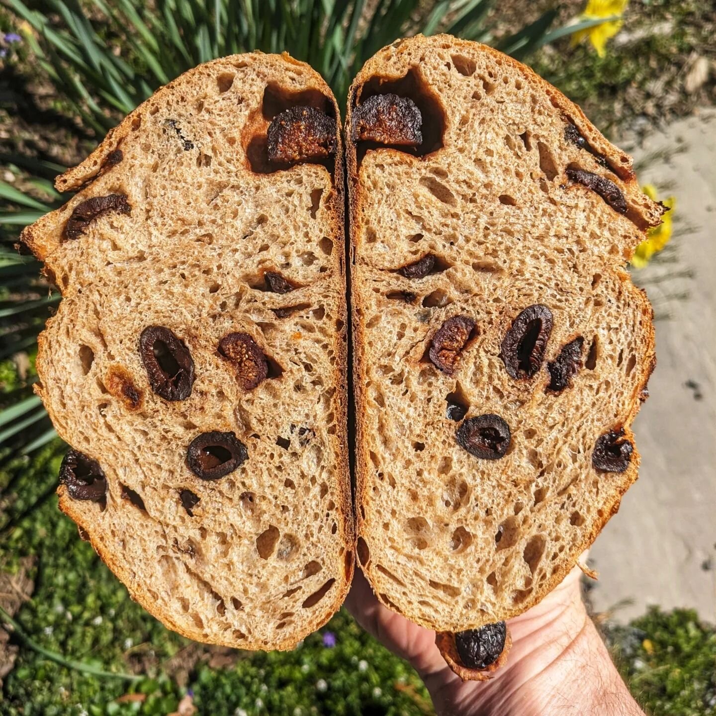 This weeks bread subscribers (only) Baker's Special! 

Black Mission Fig and Black Cured Olive Sourdough!! This one is an instant hit. 

Thanks to @matthewjamesduffy for the eternal inspiration!