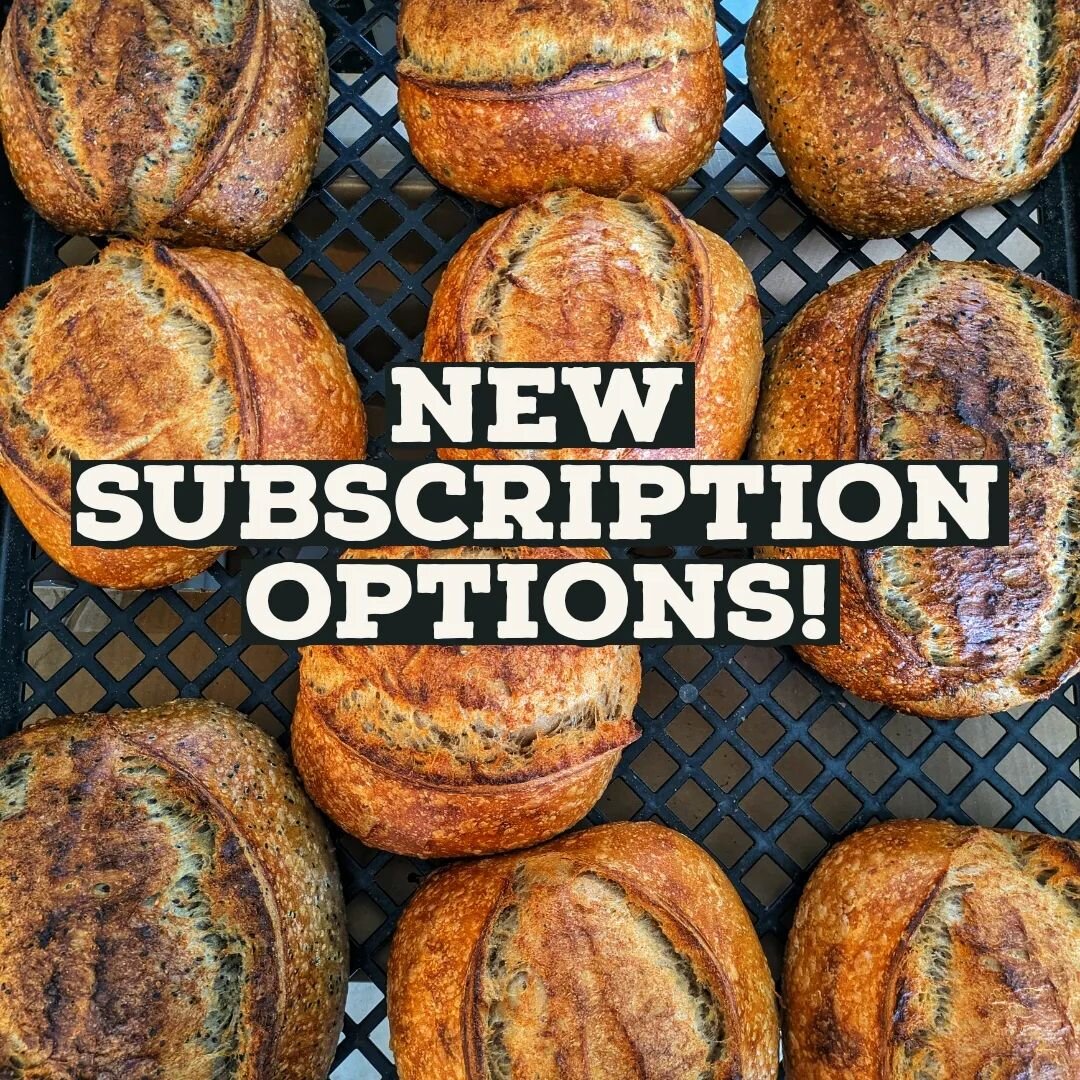 Winter weather got you down? We deliver!  Take the thought out of your bread adventure by subscribing to Brutto Breads. 

Four or eight deliveries spaced out weekly or biweekly. 

New subscription options include a create your own custom subscription