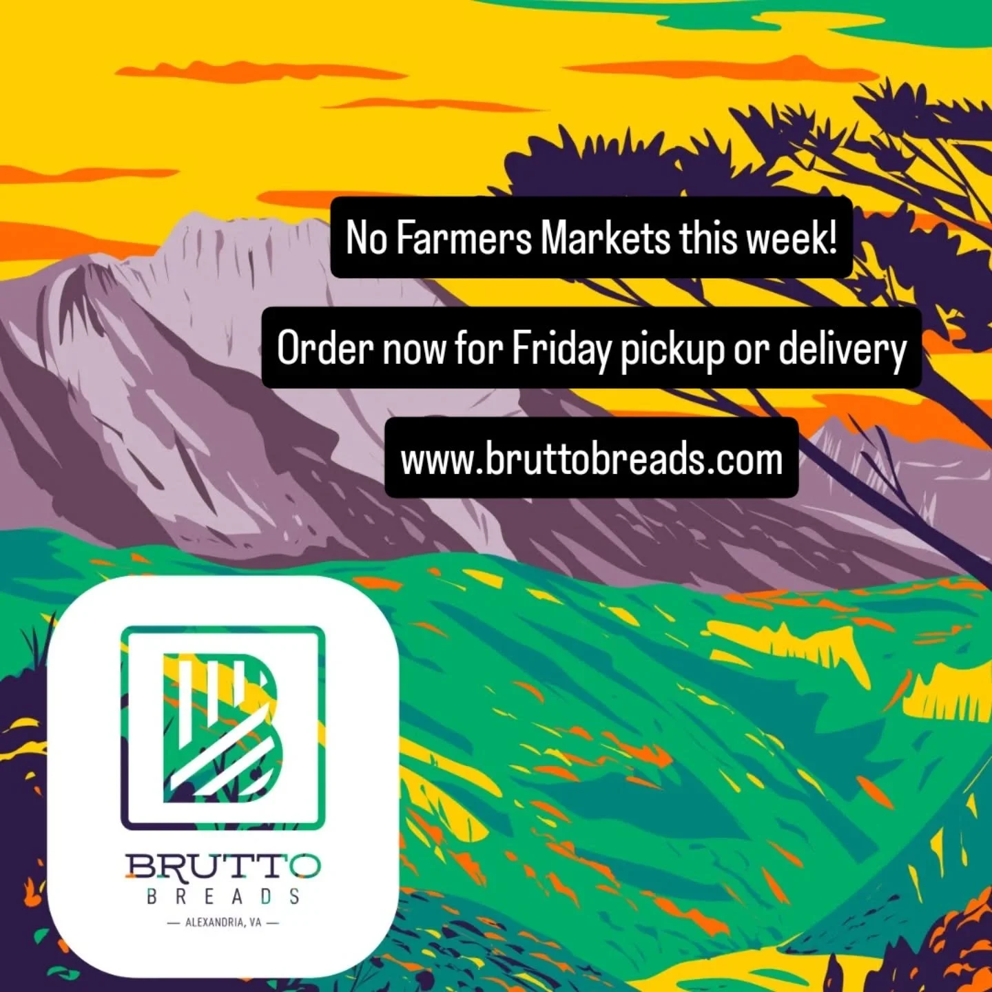 Art on Avenue this weekend means no Del Ray Farmers Market but you can still get your bread fix.  Head over to bruttobreads.com for pickup or delivery options! 

See you next week!
